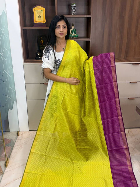 Semi Raw Silk