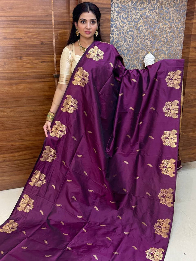 Kanchi Soft Silk