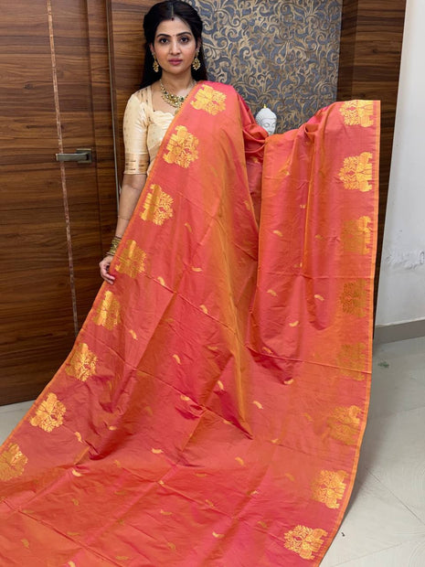Kanchi Soft Silk