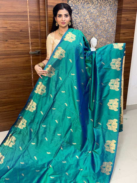 Kanchi Soft Silk