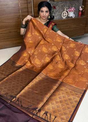 Border Less Kanchi Silk