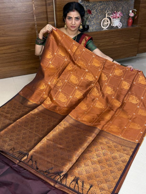 Border Less Kanchi Silk