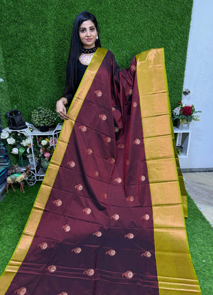 Premium Kanchi