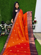Premium Kanchi