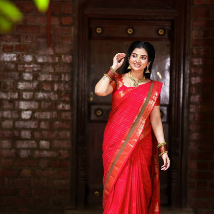 Pure Chettinad Cotton