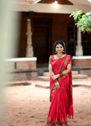 Pure Chettinad Cotton