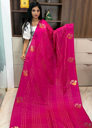Border Less Kanchi Silk