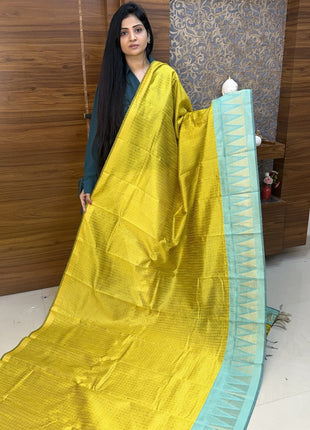 Semi Raw Silk