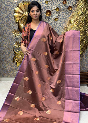 Premium Kanchi