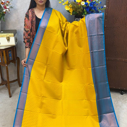 Kanchi Silk