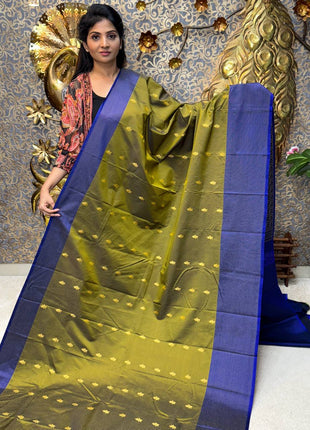 Vaira Oosi Golden Zari
