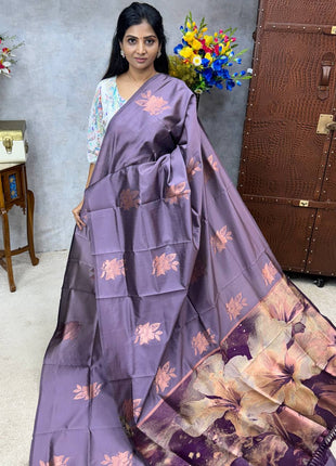 Semi kanchipuram Silk