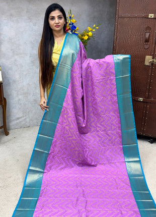 Premium Kanchi