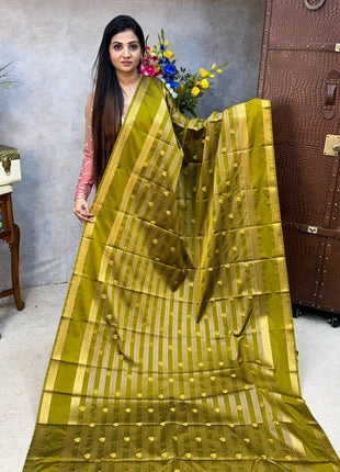 Vaira Oosi Golden Zari