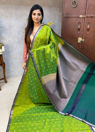 Border Less Kanchi Silk