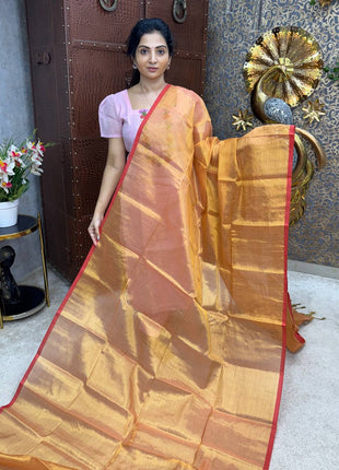 Tissue Saree