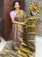 Tissue Saree