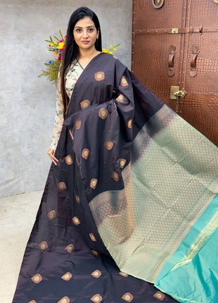 Border Less Kanchi Silk