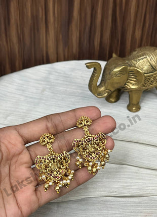Dollar With Earring