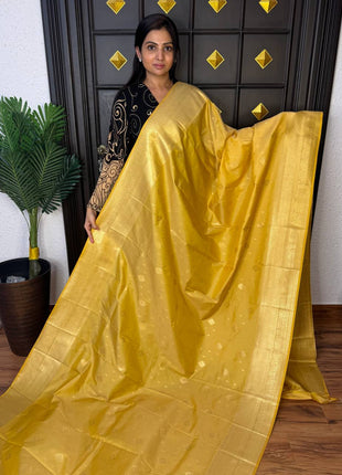 Kanchi Silk