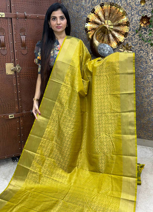 Premium Kanchi