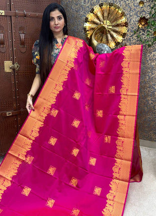 Premium Kanchi Gold Zari Pallaku Design
