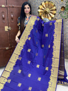 Premium Kanchi Gold Zari Pallaku Design