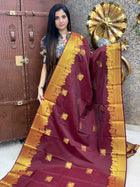 Premium Kanchi Gold Zari Pallaku Design