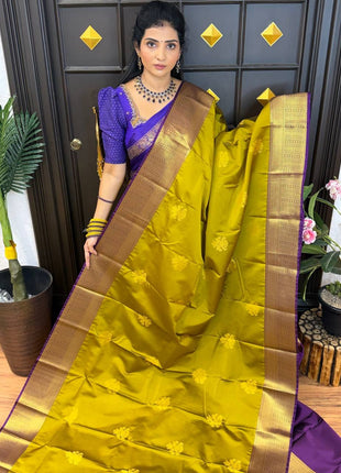 Vintage Premium Kanchi