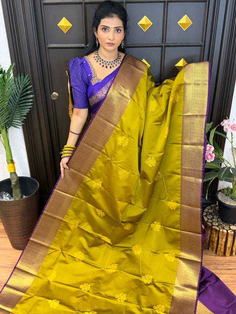 Vintage Premium Kanchi