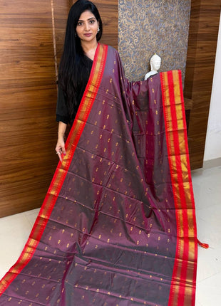Kanchi Soft Silk