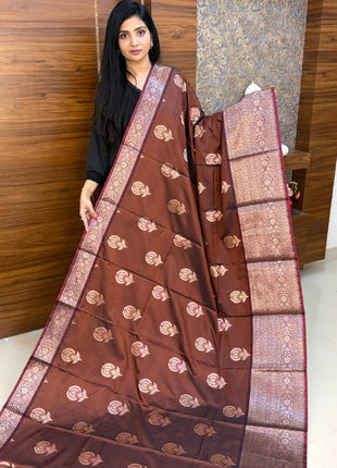 Banarasi Soft Silk