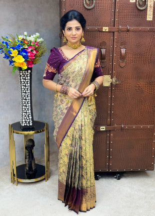 Dharmavaram Silk