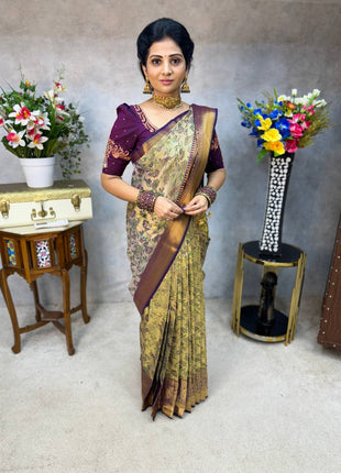 Dharmavaram Silk