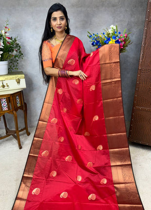 Premium Kanchi