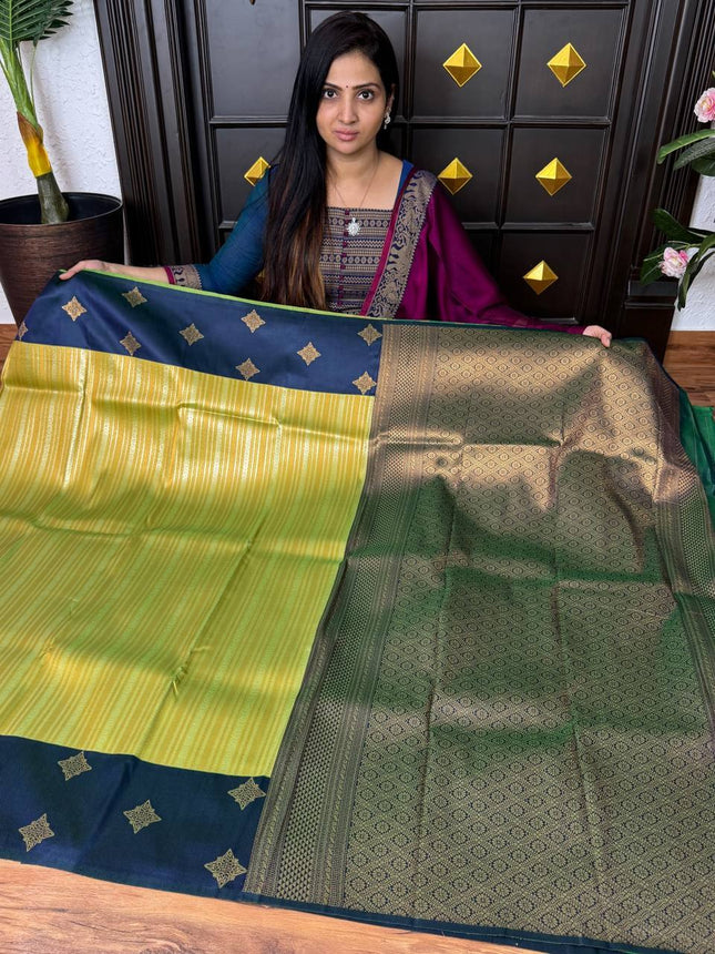 Kanchi Silk