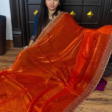 Fendi Designer saree