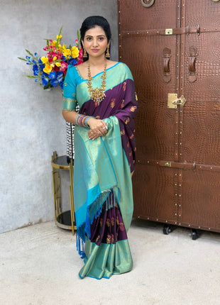 Premium Kanchi