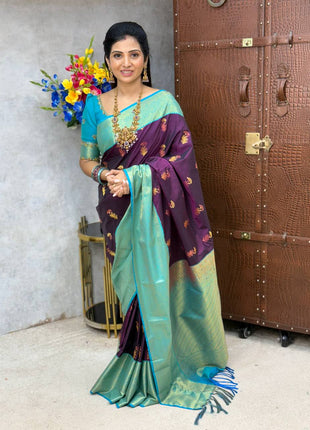 Premium Kanchi