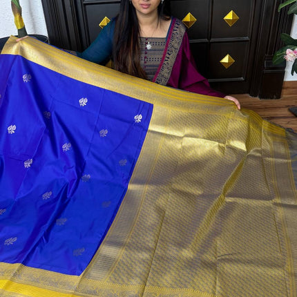 Kanchi Silk