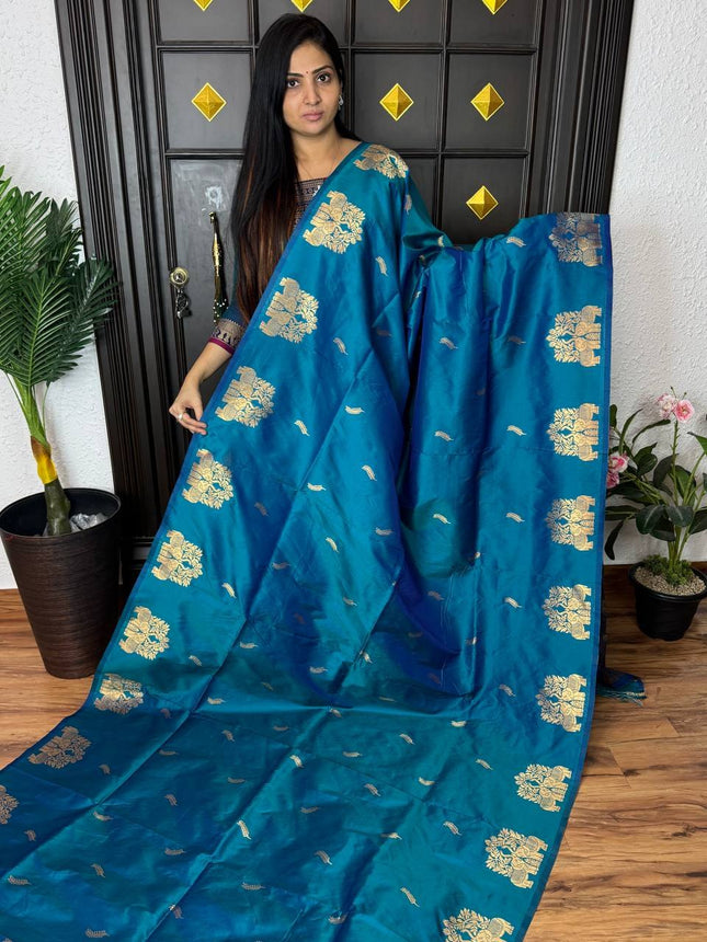 Kanchi Soft Silk