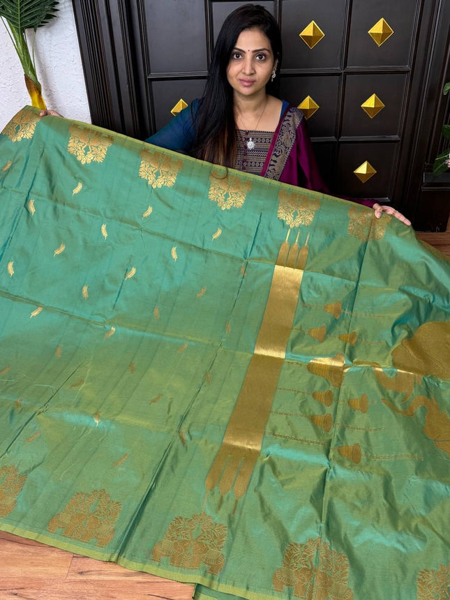 Kanchi Soft Silk