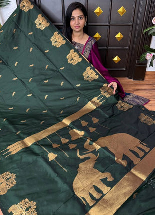 Kanchi Soft Silk