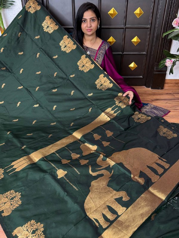 Kanchi Soft Silk