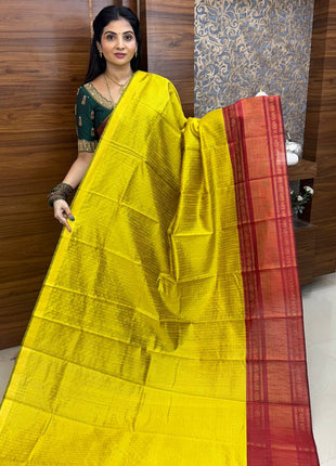 Semi Raw Silk