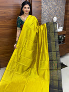 Semi Raw Silk