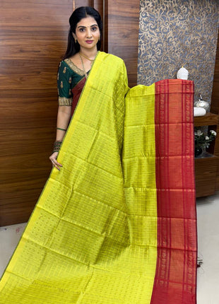 Semi Raw Silk