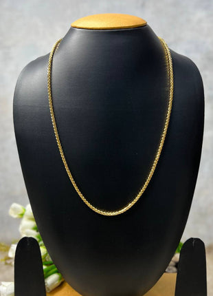 Long Chain With Lobster Hook