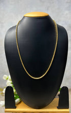 Long Chain With Lobster Hook