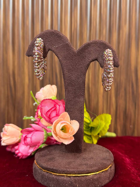 Fancy Earring